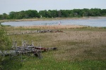 Dry land where White Bear Lake shallows used to be